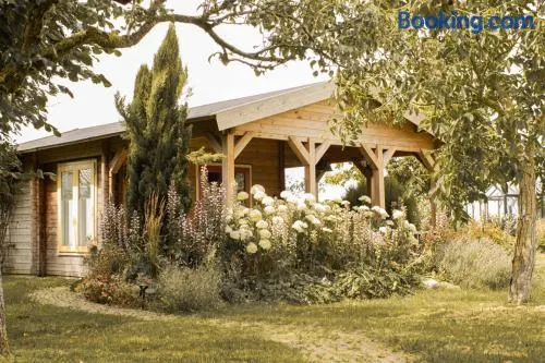 Chalet Ben in Broek - Image 1