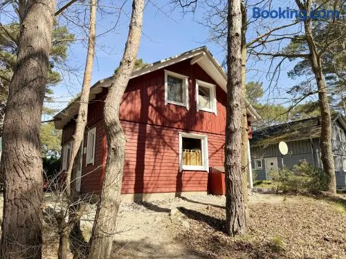 Strandhaus Dünenweg 43b - Image 1