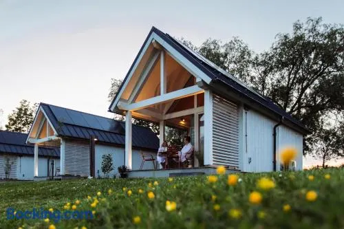 Tiny house met hottub - Image 1