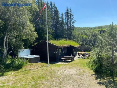 Koselig hytte ved Kjerag, skiløyper og skitrekk - Image 1