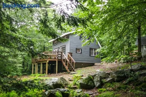 Woodlands - Peaceful & Charming Catskills Escape - Image 1