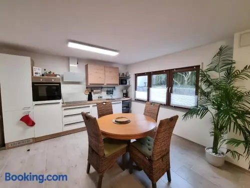 Ferienwohnung Rheinnähe - Image 1