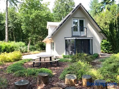 Vakantiehuis Bos en Hei Veluwe - Image 1