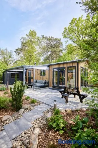 Pimpelmees vakantiehuis in het bos - Image 1