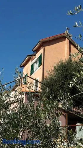 Grazioso appartamento nel verde - Image 1