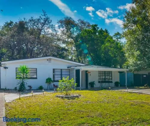 Cozy apartment near Busch Gardens Adventure Island and USF - Image 1