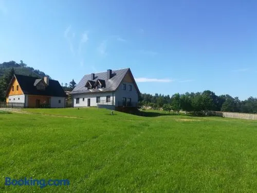 Pod Kasztanami - Image 1
