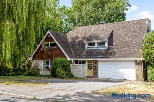 Whole guest house - Image 1