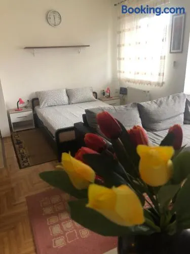 Tulipan - Image 1