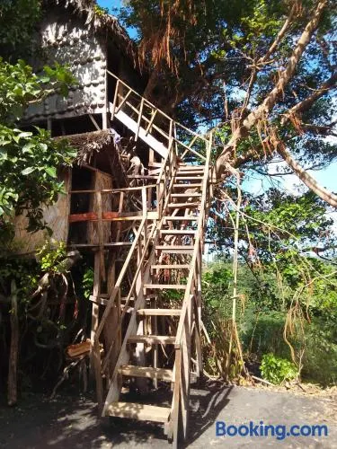 Bird view bungalows - Image 1