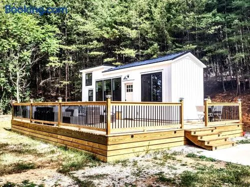 Tiny Home Big Fun - Image 1