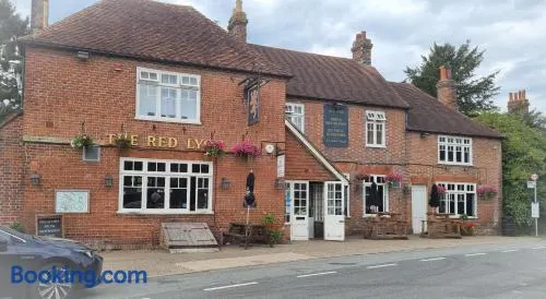 The Red Lyon Slinfold - Image 1