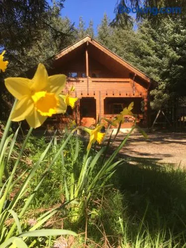 Bernard’s Logcabins - Image 1