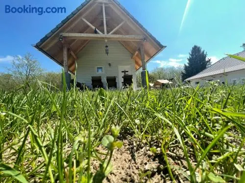Wild Garden1 Apartman - Image 1