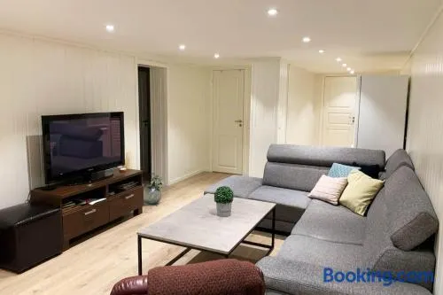 Newly renovated basement apartment - Image 1