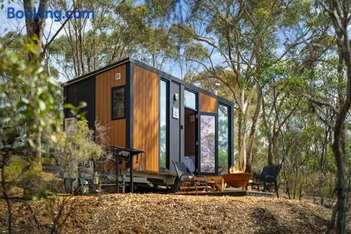 Eucalypt Escape by Tiny Away - Image 1