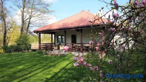 Domek W Nabo - Image 1