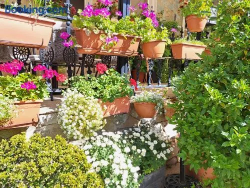Kyperounta Troodos Mountain House! - Image 1