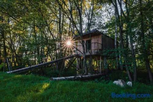 Treehouse Tučapy - Image 1