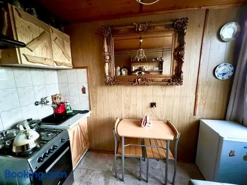 Mieszkanie Pod Sztolniami- Riese - Image 1
