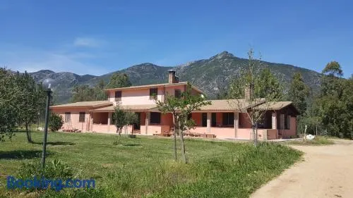 Villa nel verde - Image 1