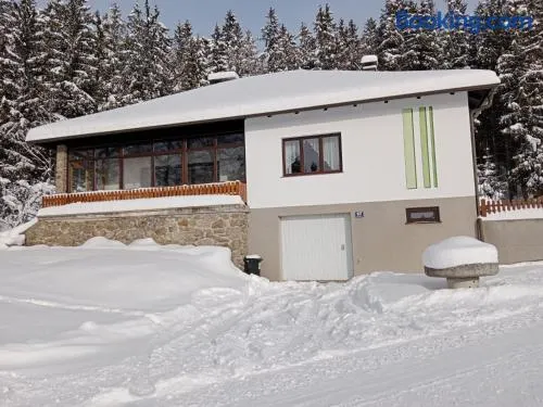 Ferienhaus Böhm am Bärentrail - Image 1