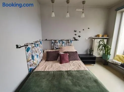 ToTuToTam Studio - Image 1