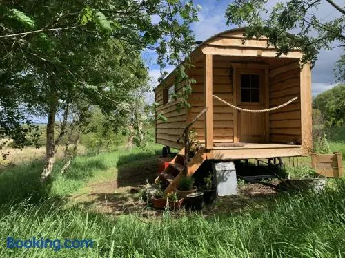 Birkenshaw - Beautiful Shepherd’s Hut in the Highlands. - Image 1