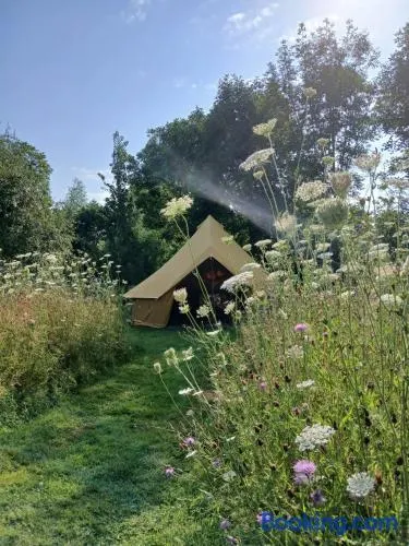 Natuurglamping 't Wijland - Image 1
