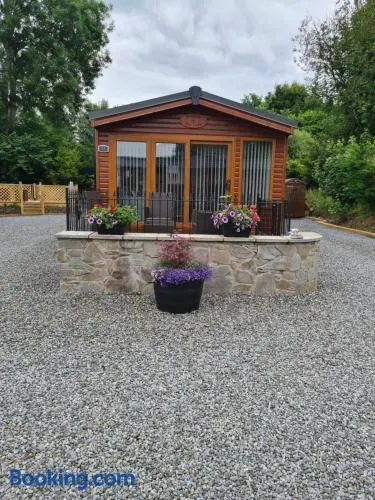 Bear Lodge - Image 1