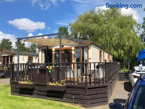 Bumblebee Lodge - Image 1
