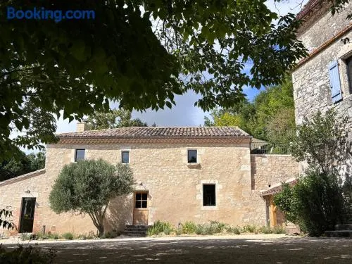 Domaine de Tayssou - Image 1