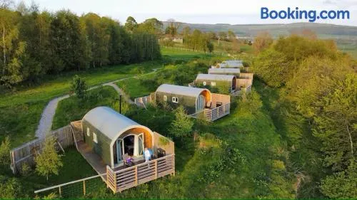 Grange Beck Farm Glamping - Image 1