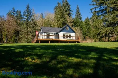 Retreat Near Lewis River Dog-Friendly Adventures - Image 1