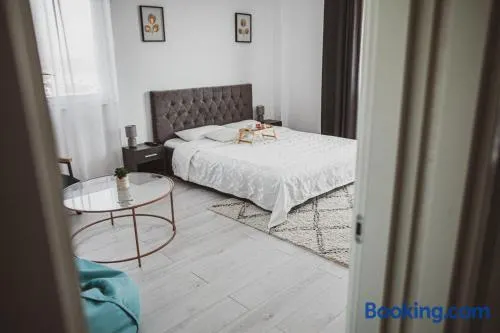 Lake View Apartment Iasi - Image 1