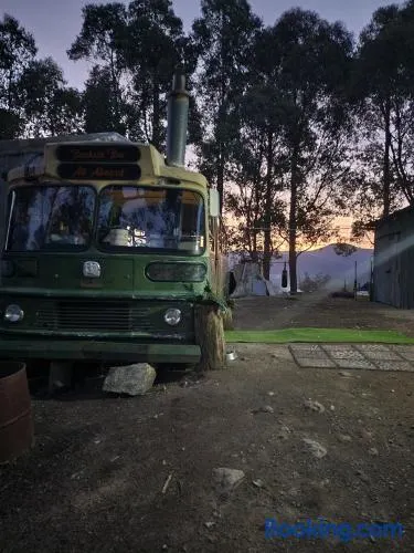 Banksia Bus - Image 1