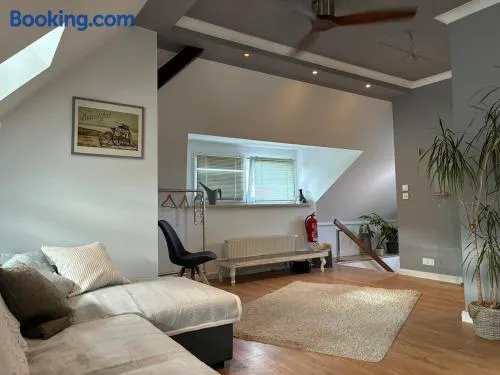 Attic apartment in a listed villa - Image 1