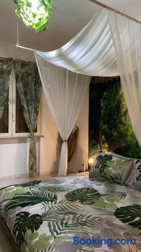 Jungle - house of wellness - Image 1