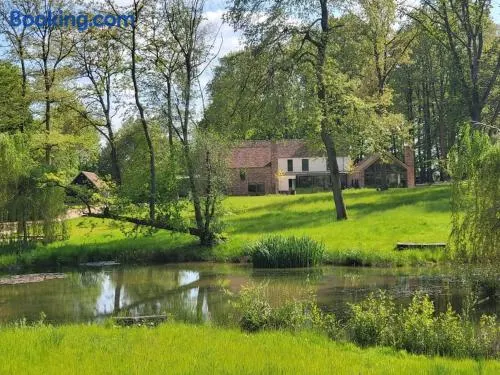 Private Apartment at Woodland Retreat - Image 1