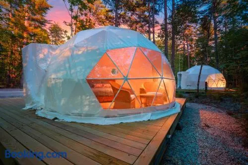 Pleasant River Glamping Dome 3 King bed - Image 1