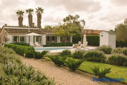 Casa Blanca - Image 1