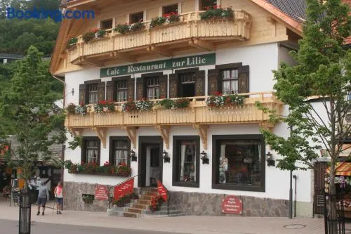Gästehaus Zur Lilie - Image 1