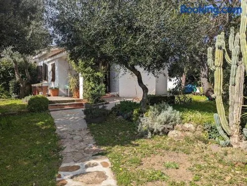 (P3347) Cottage familiare Sant'Agostino - Image 1