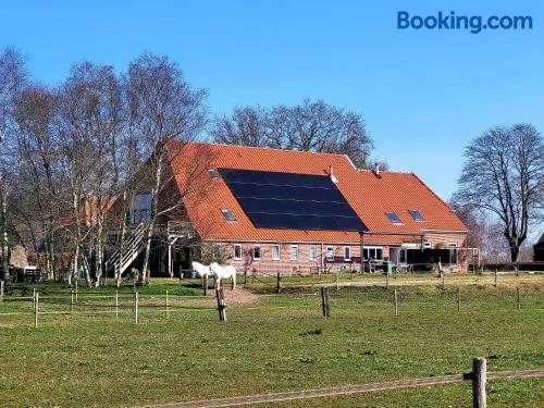 Slaopen en Stoet - Image 1