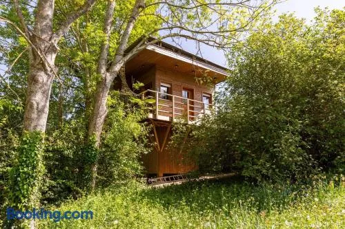 La Cabane Perchée - Image 1