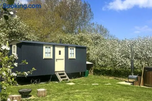 1 Bed in Burnham Overy Town oc-o31908 - Image 1