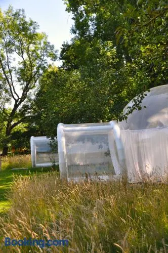 Noortweghe GLAMPING - Image 1
