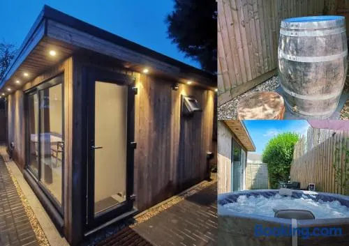 Luxury Cabin with Hot-Tub & Cold Plunge! - Image 1