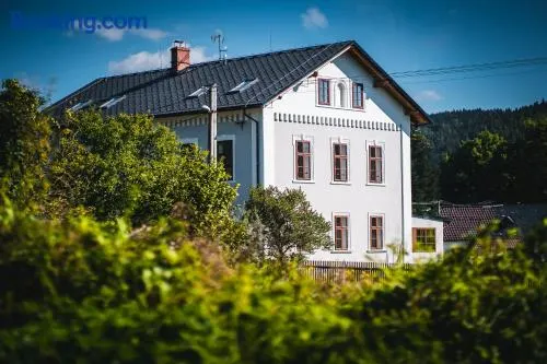 Penzion Johannes, Rýmařov - Stará Ves - Image 1