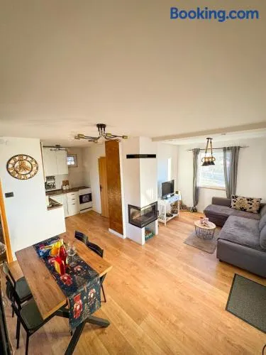 Vila Xenos Loft Karakter Zlatibor - Image 1